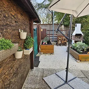 https://studio-apartment-judy-rovinj.in-istria.net